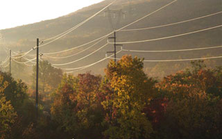 Nedozvoljeno penjanje na dalekovodni stup završilo smrću  