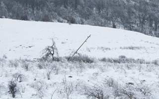 Na području Karlobaga i Senja 24 naselja bez struje