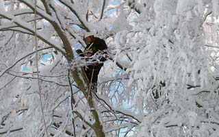 Radnici HEP-a otklonili kvarove na mreži u Lici i na Kordunu