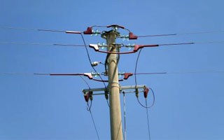 Do 2020. u Primorsko-goranskoj županiji riješit će se problem stradavanja ptica od strujnog udara