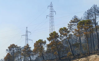 Normalizacija opskrbe na Pelješcu