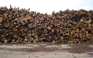 Potpisan sporazum o suradnji na projektima energana na biomasu 