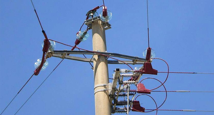 Još bolja zaštita ptica od stradavanja na električnoj mreži