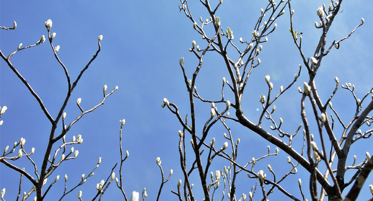 Ljetno računanje vremena