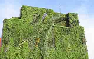 Zeleni Uredi kao budućnost gradnje