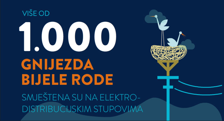 Dan roda – 13 godina HEP-ove sustavne zaštite bijele rode 